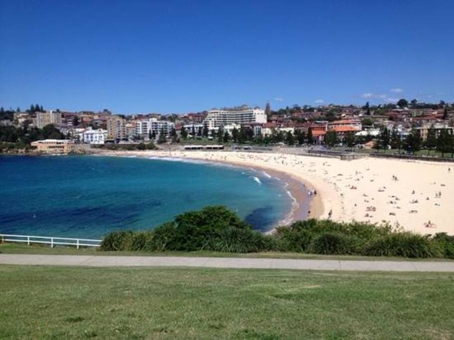 Coogee Beach