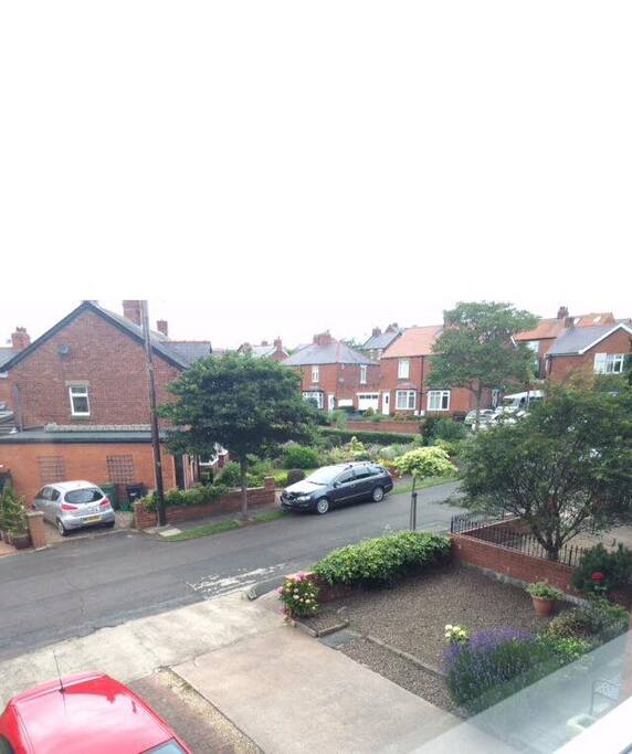 Our street is a quiet & safe leafy suburb street