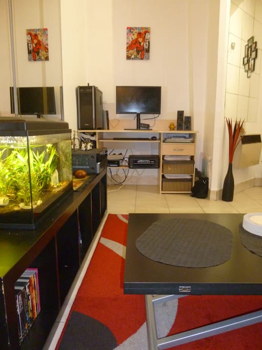 Petit écran mais grande définition ! Aquarium autonome avec quelques petits poissons.