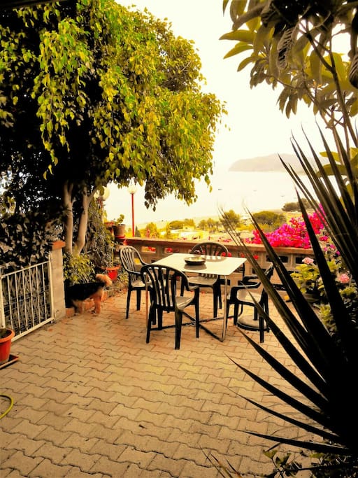 giardino