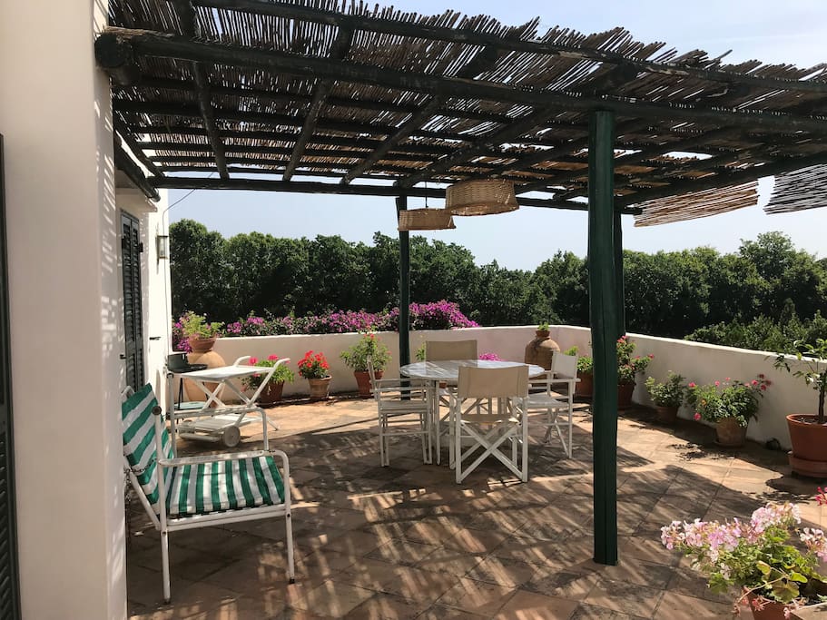 la terrazza
