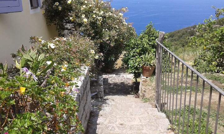 "la Ginestra"