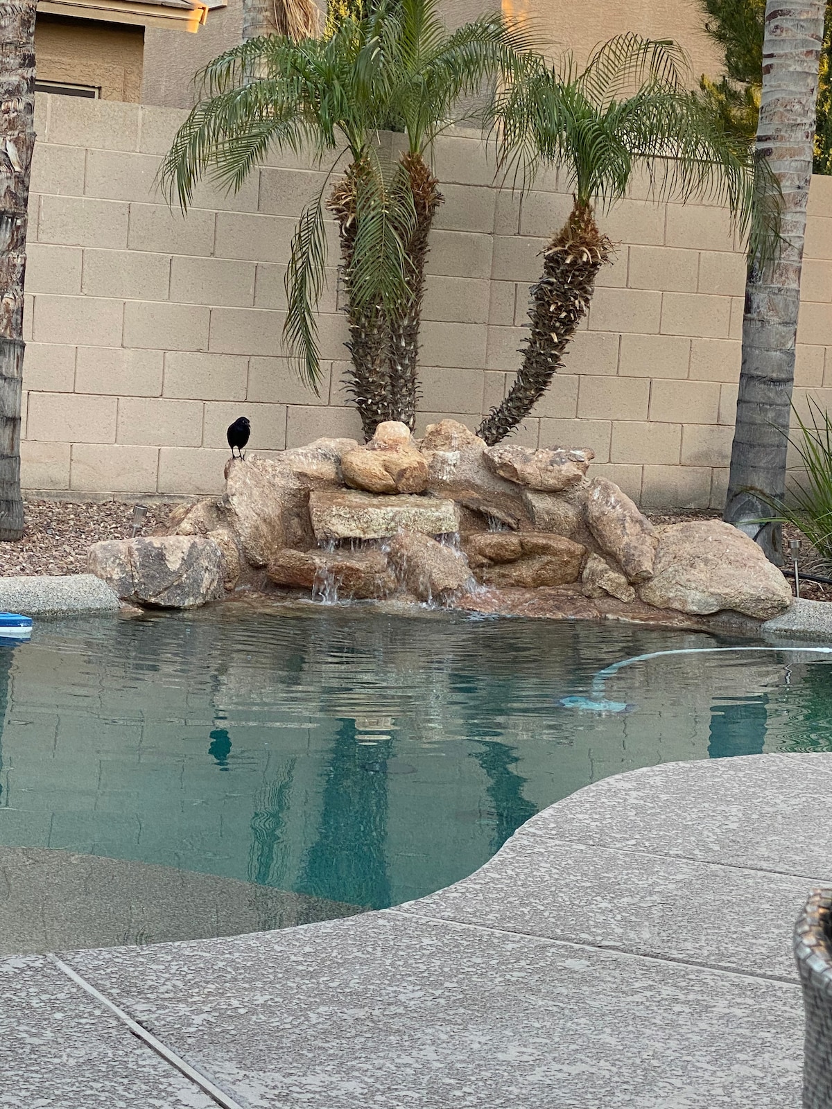 A sparkling pool is accented by a natural-looking waterfall, flowing over a smooth stone feature. Surrounding palm trees provide a touch of greenery, while the pool's clear water reflects the serene setting.