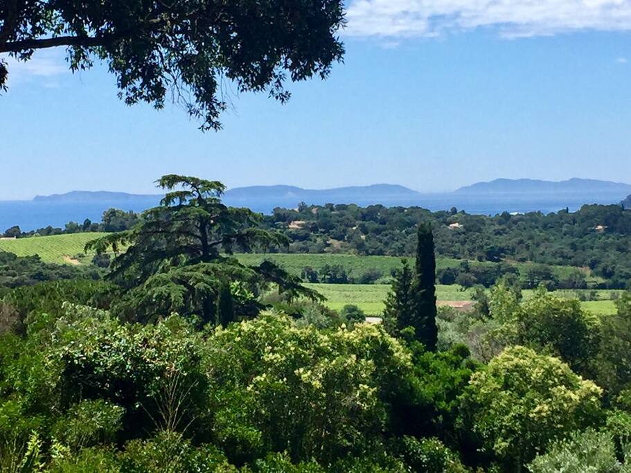 vue mer
