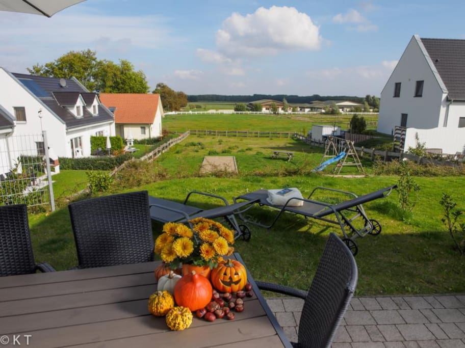 Unverbaute Aussicht auf die Pferdekoppel