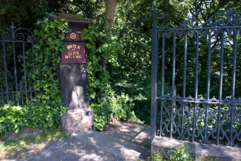 Local area