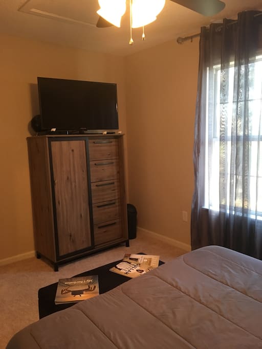 42" smart tv with built in DVD player and access to Netflix and pandora