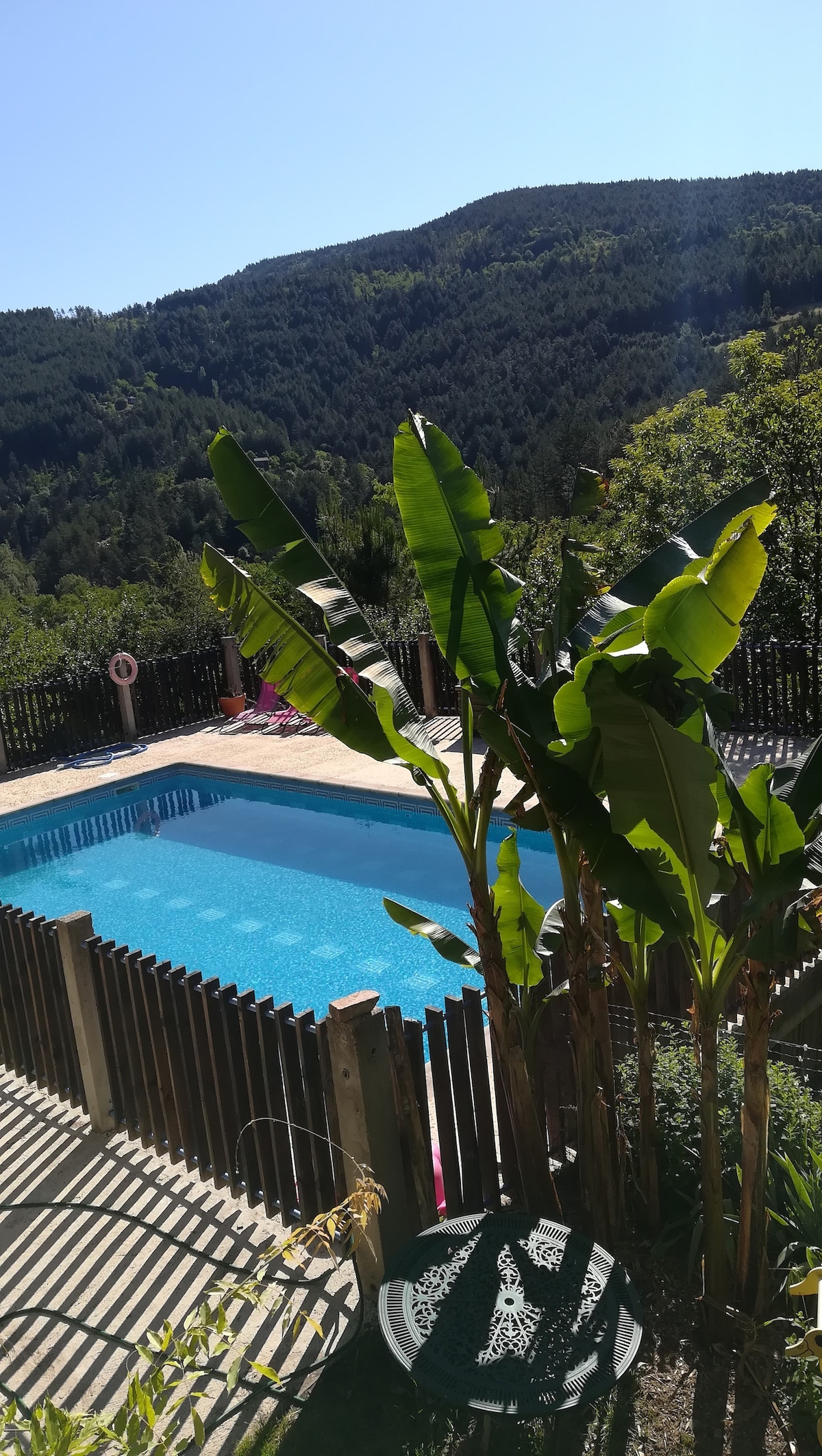 A private outdoor swimming pool is framed by tall tropical plants, offering a refreshing blue expanse. The surrounding wooden fence creates a secluded atmosphere, with the backdrop of lush green mountains enhancing the tranquil setting.