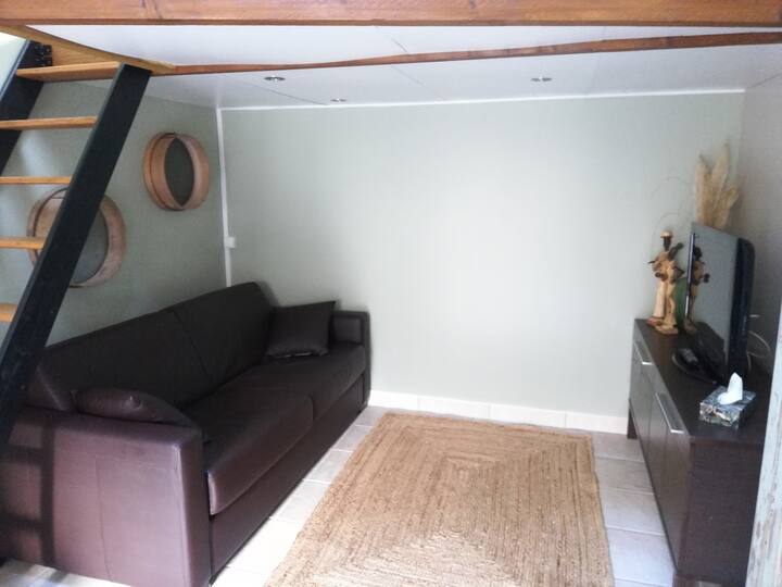 Დასაჯდომი ადგილი დივნითა და ტელევიზორით