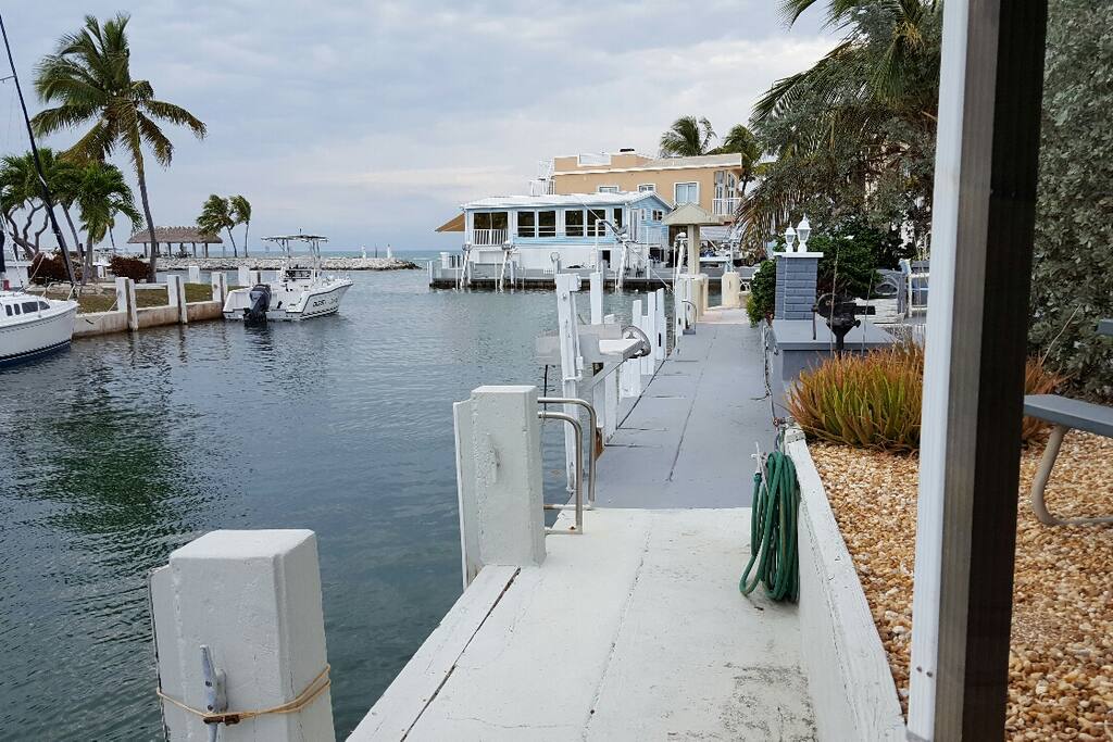 View - Back of the property