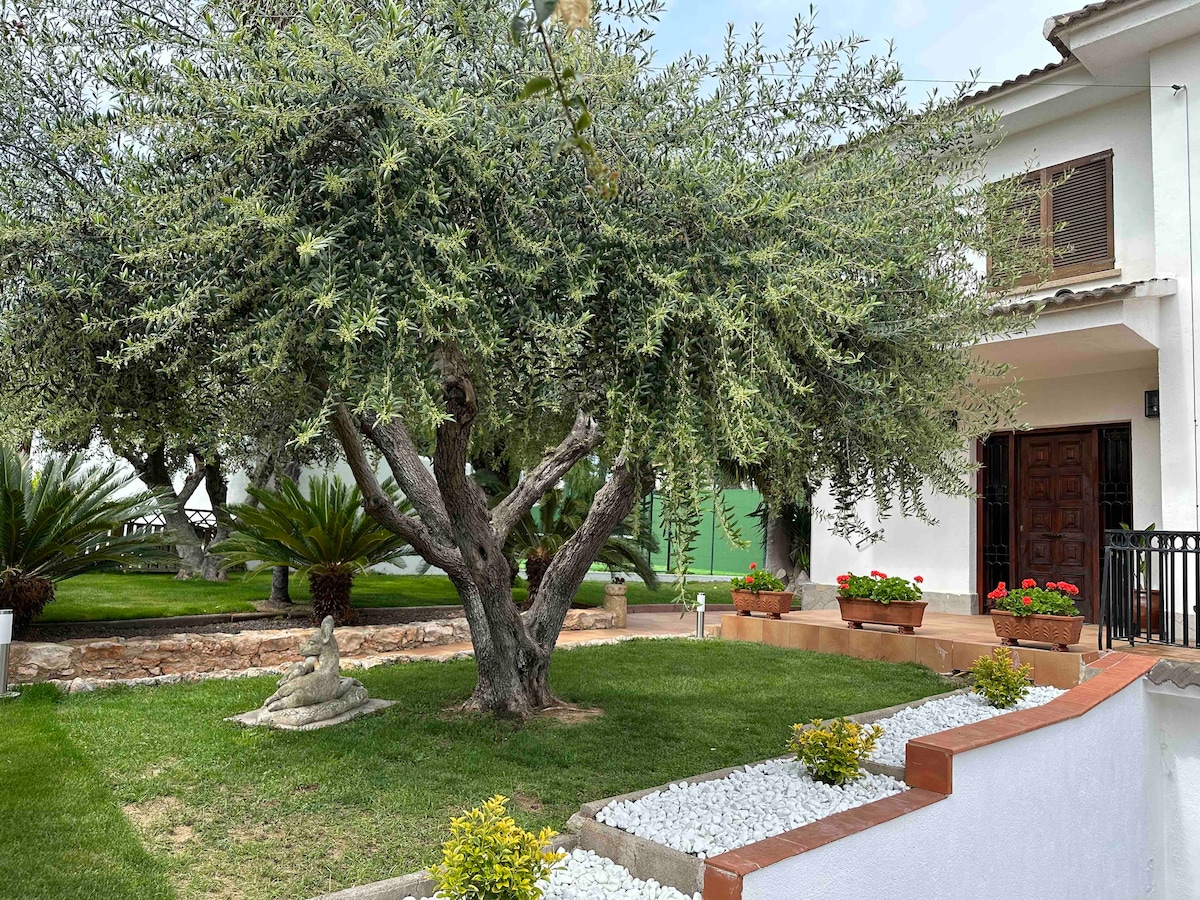 A tranquil outdoor area features a mature olive tree surrounded by well-maintained grass and decorative flower pots. Low stone borders outline the garden, which is enhanced by palm plants. The house and its welcoming entrance are seen in the background.