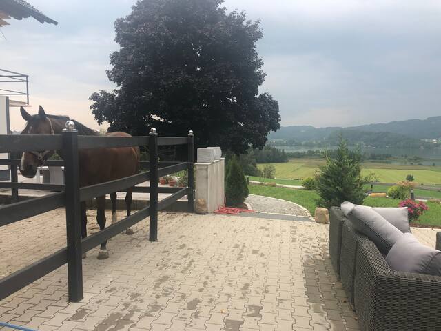 Partnervermittlungen bernstein. Singlesuche aus nudorf am haunsberg. Single treff aus allhartsberg. Sankt veit im pongau dating service. Sex treffen privat in Kflach single kostenlos. Mdchen kennenlernen aus