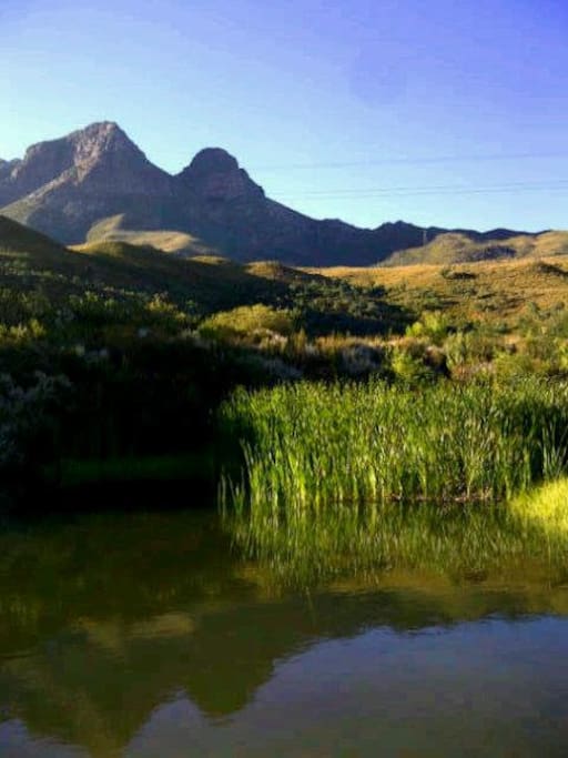 The dam