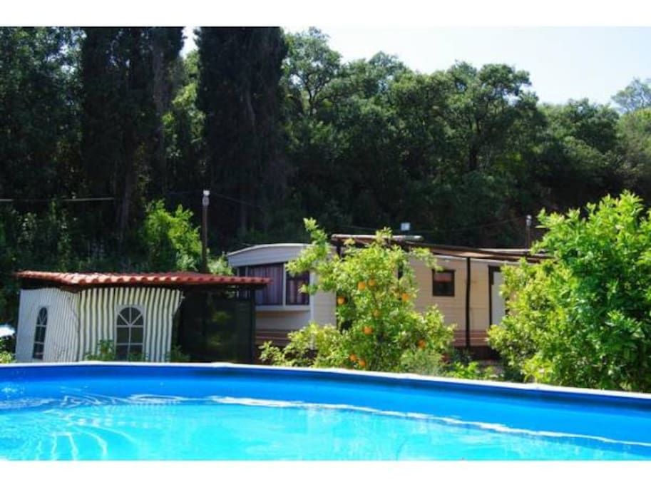 La piscine
