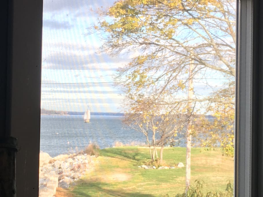 Taken from the living room window.