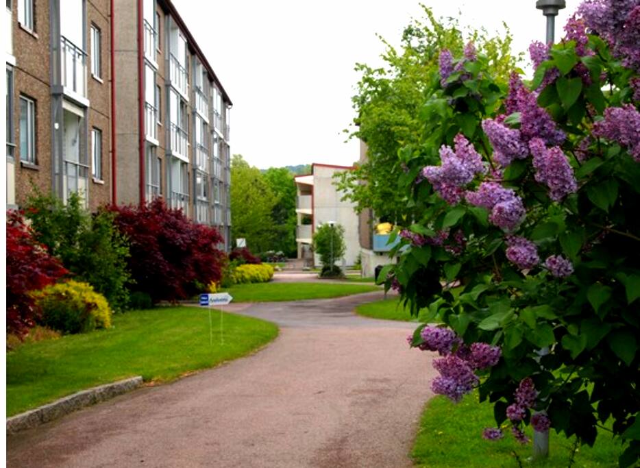 Området