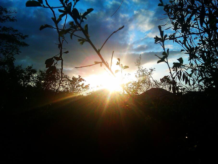 6 am best time of the day at the Botanic Country Resort House