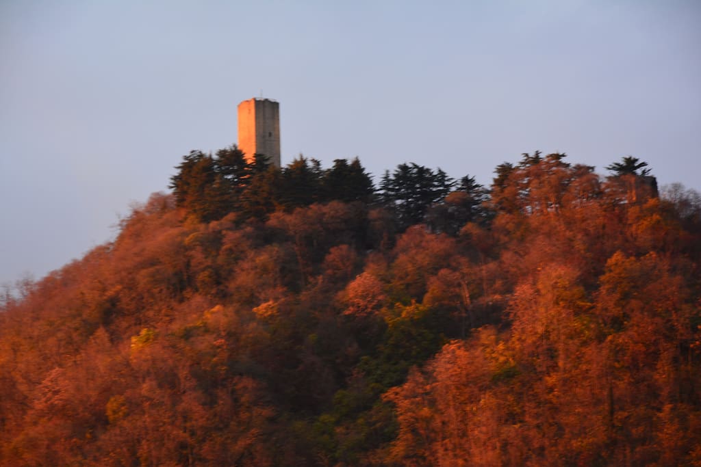 Vista