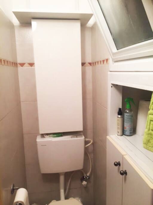 Shower and toilet