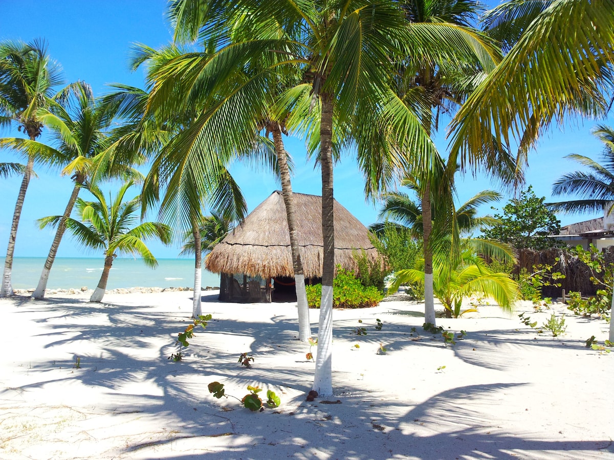 A beach scene featuring lush palm trees swaying gently in the breeze, with a thatched palapa set against the backdrop of the ocean. The sandy area is well-kept, showcasing a tranquil atmosphere and a clear view of the water.