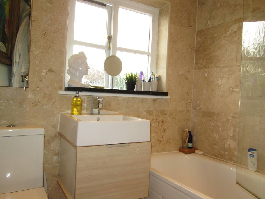 The Bathroom and Shower room