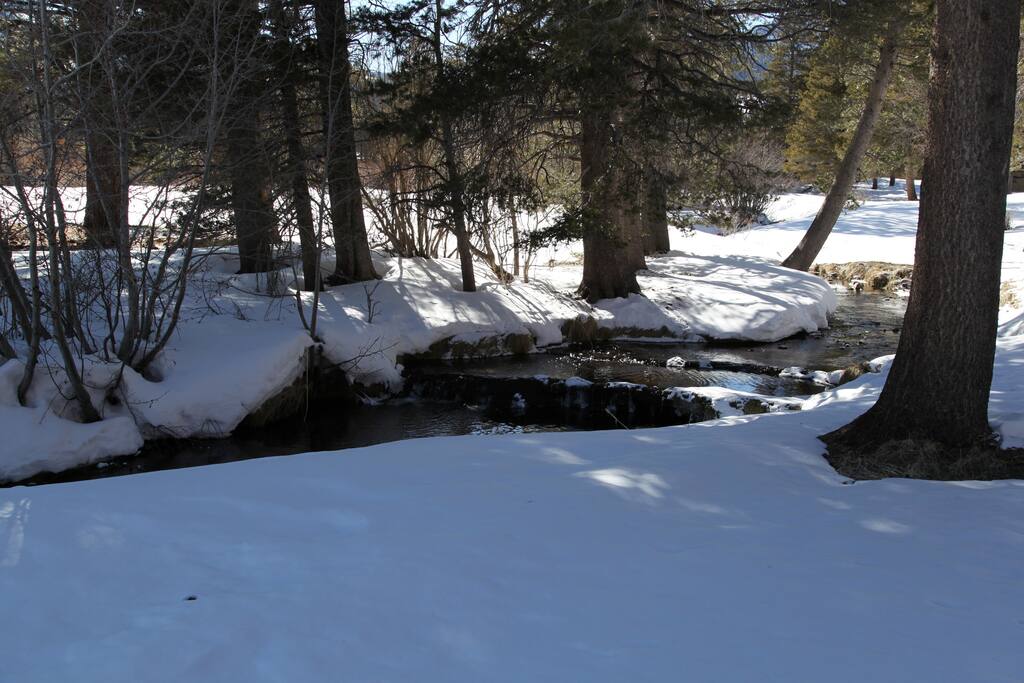 View from back of the meadow, waterfall creek.