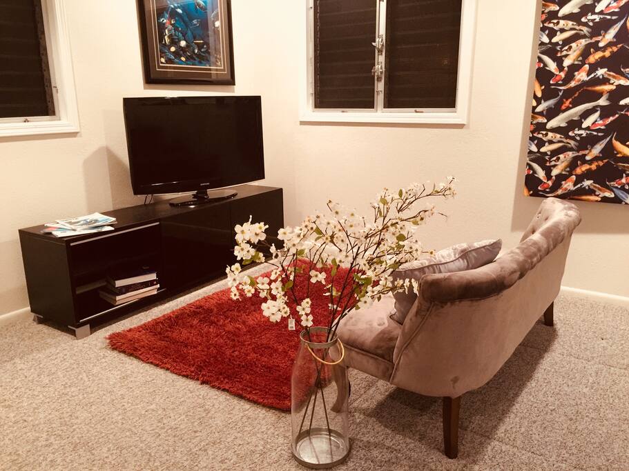 Entertainment area