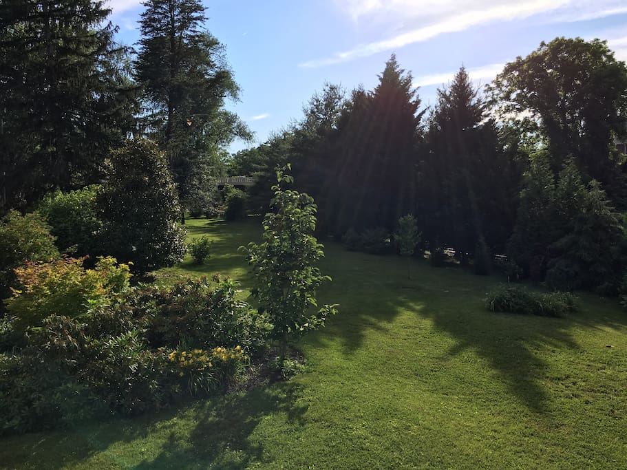 Sunny private studio, walk to the University Apartments for Rent in