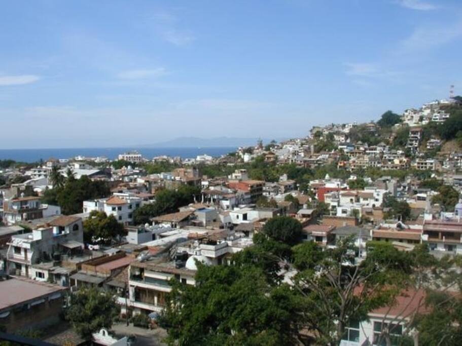 The view