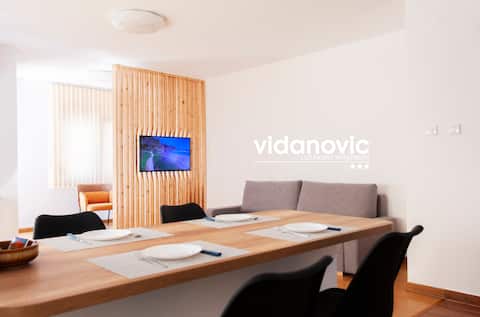 Lux Family Apartment Vidanovic
