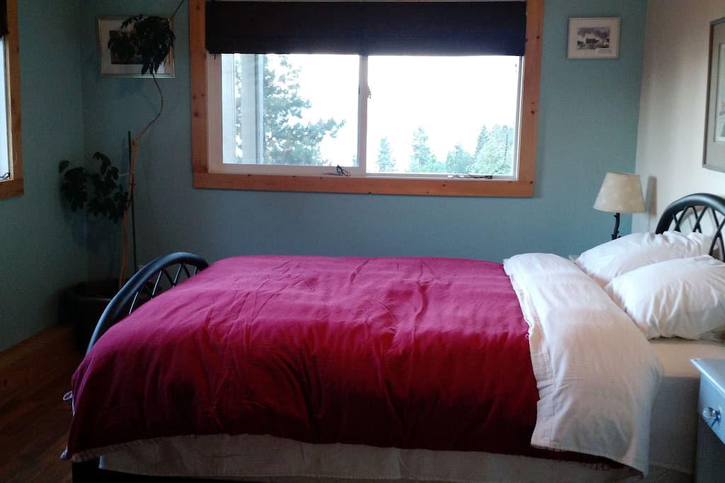 Queen Bedroom with a beautiful view of the lake!