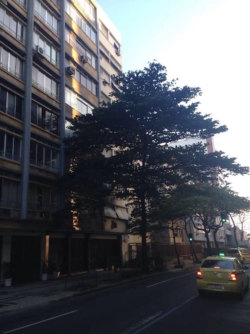 building view