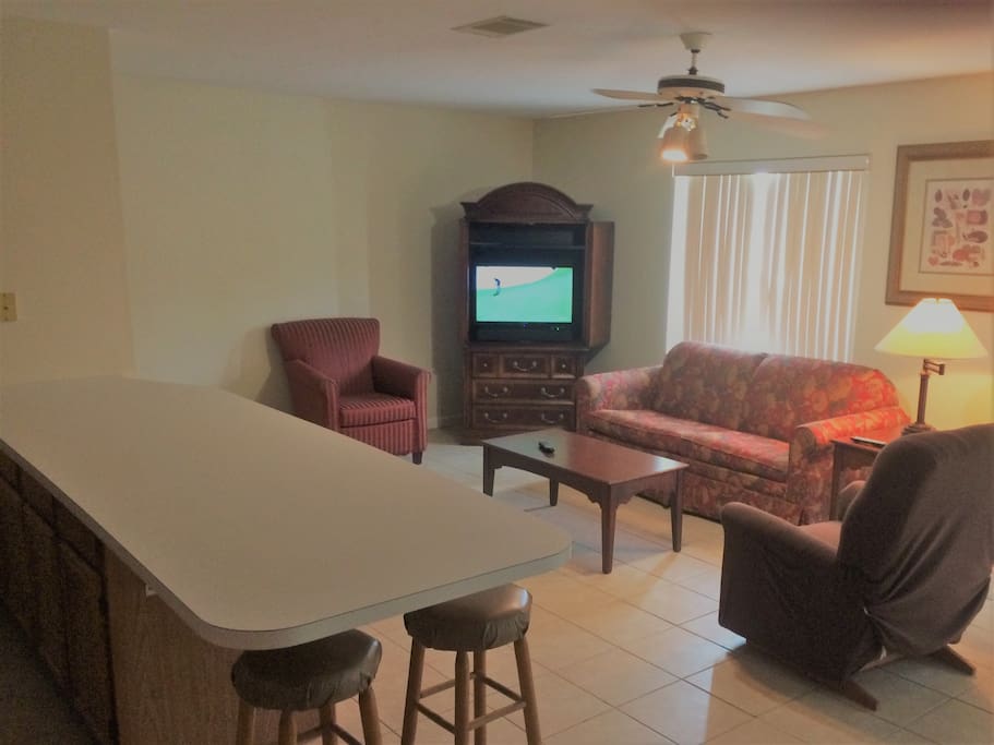 Condo Living Room