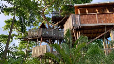 Coco Salvaje Tree House