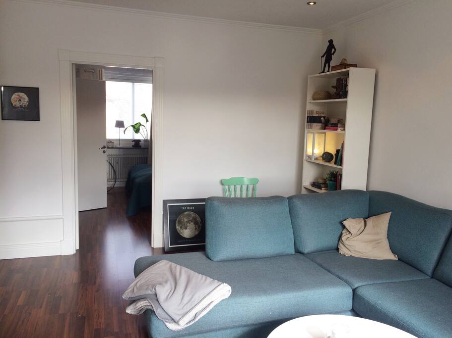 Huge couch and book shelf with awesome books