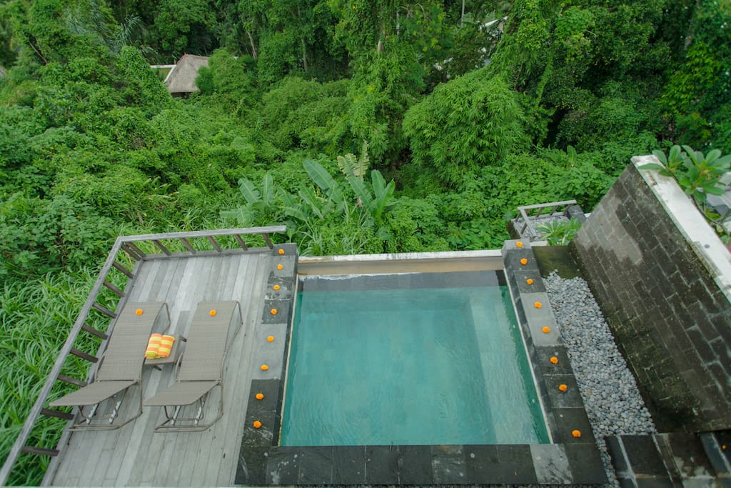 The infinity pool with wooden deck