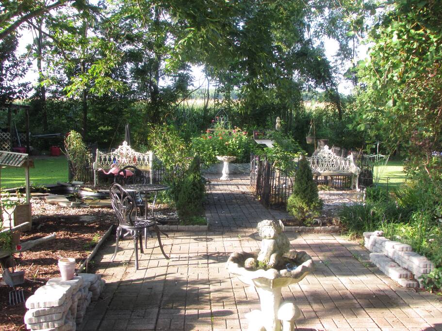 Back Garden