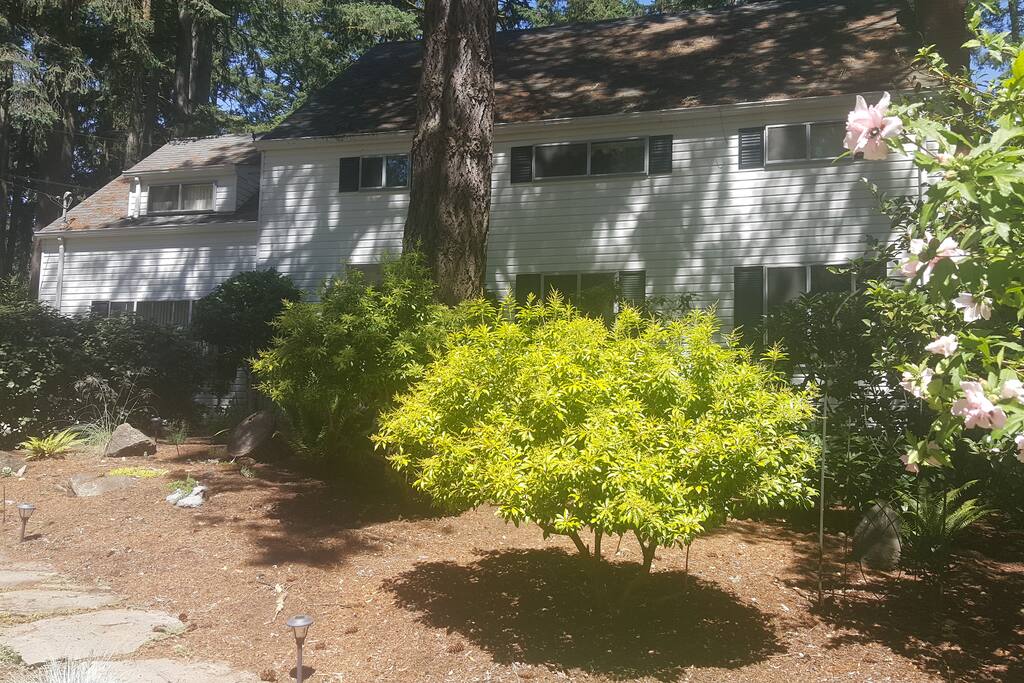 Front of our home