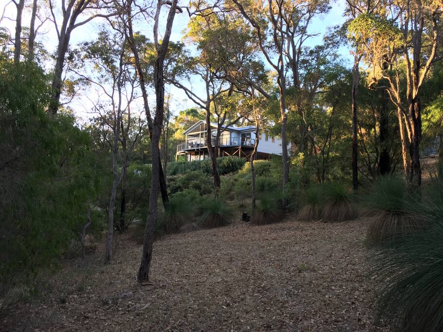 Looking up to the house from the creek