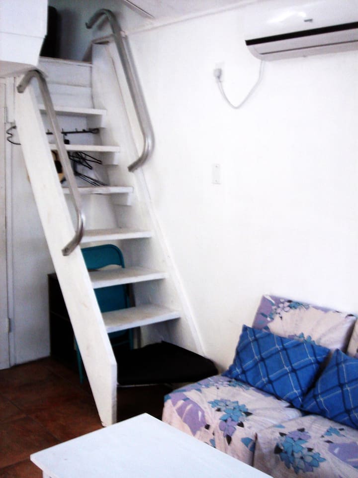Loft Stairs (not easy for some)
