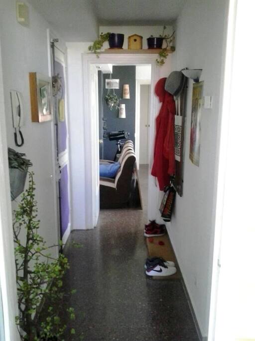 Hall