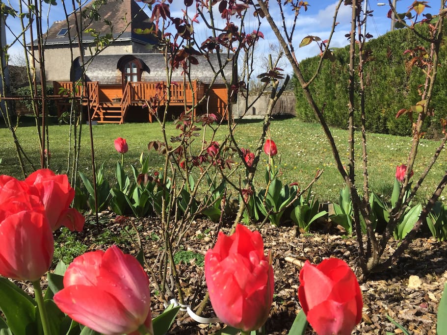 Avec le printemps !