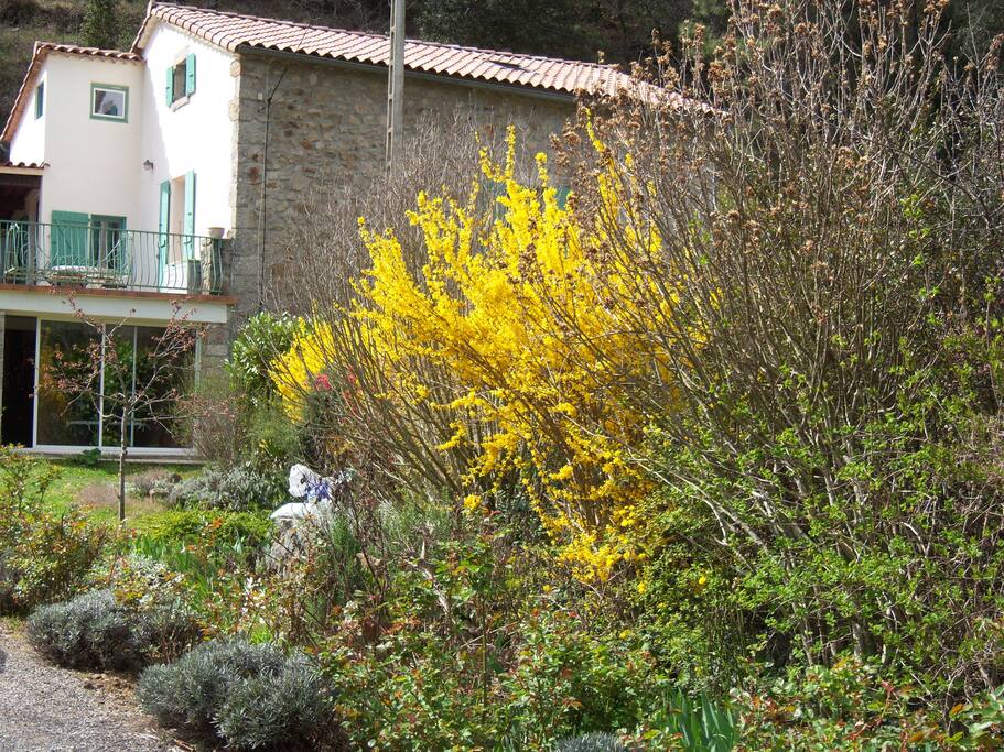 Vue extérieure maison et cour
