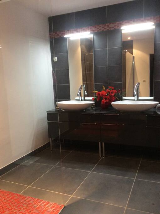 Salle de bain avec une douche à l'italienne