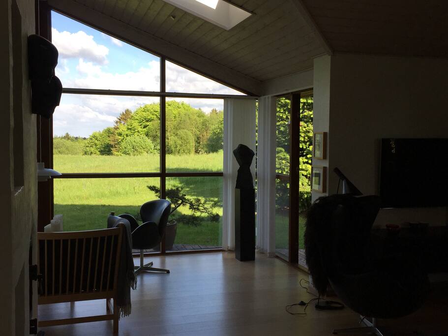 View from livingroom. Great look to the forrest.