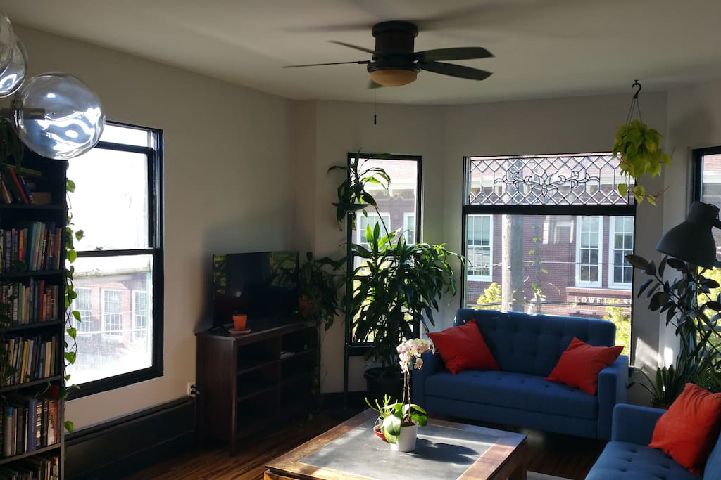 More of the living room