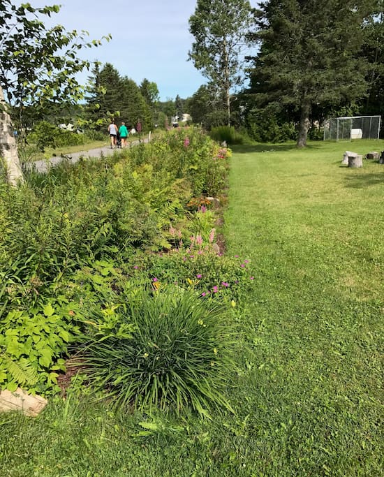 Lamoille Valley Rail Trail - For walking, biking, snowmobiling, cross country skiing, etc.