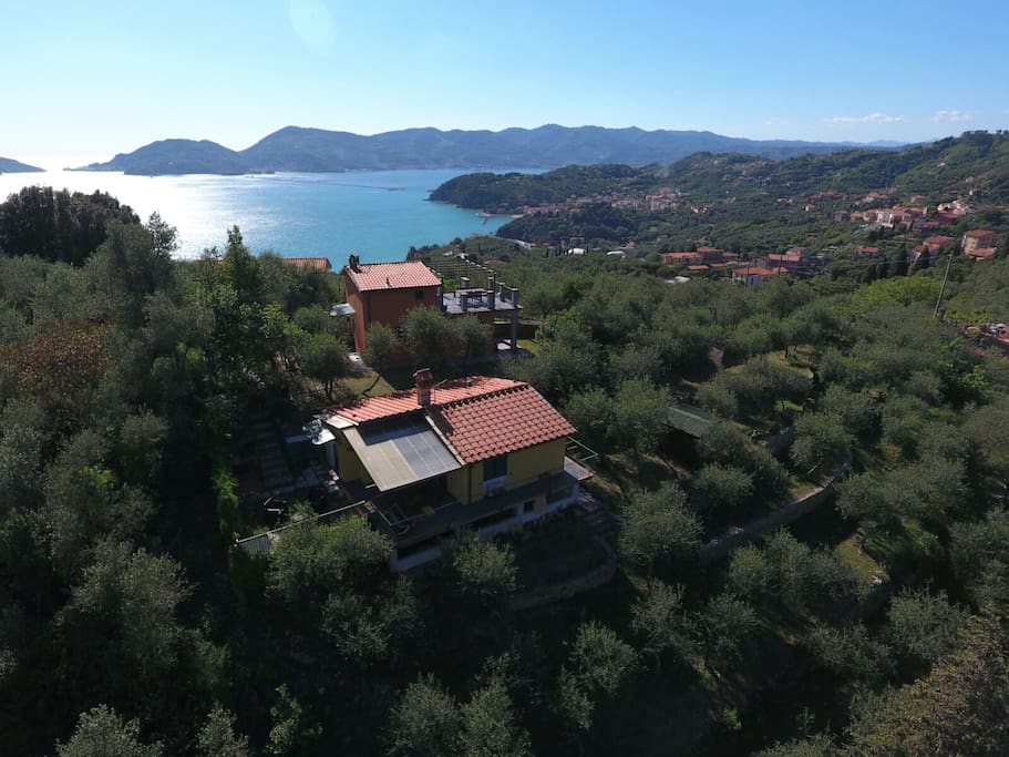 Hill view Olivella