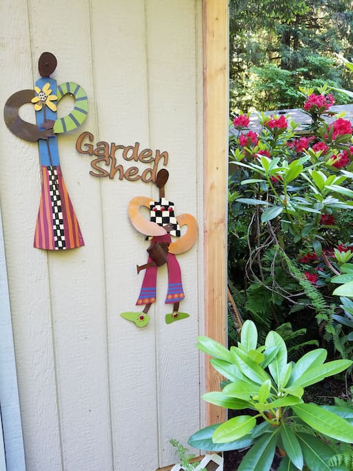 shed is nestled between magnolia tree & rhodedendron