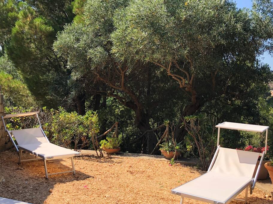 Particolare solarium